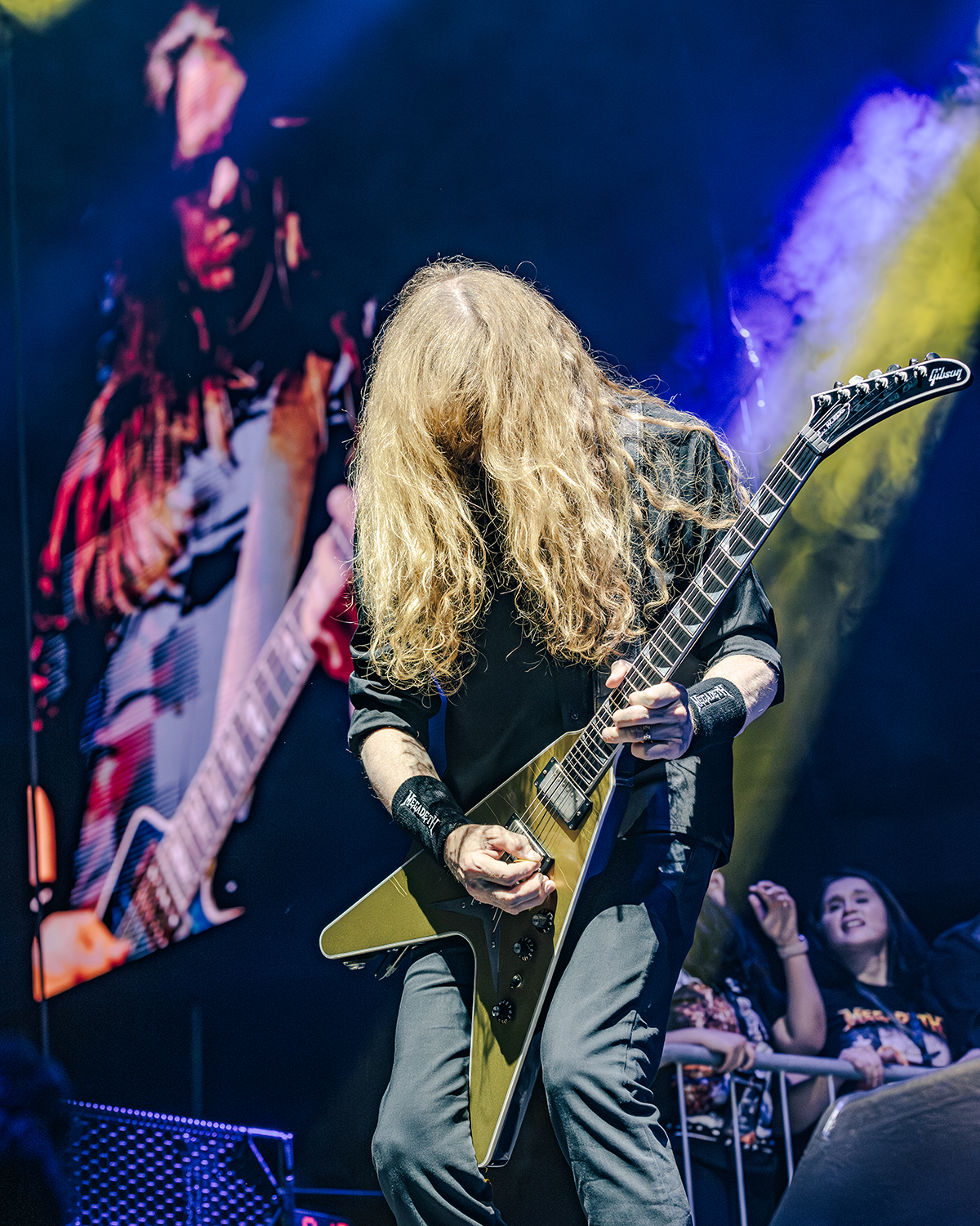 Megadeth - This Was Our Life